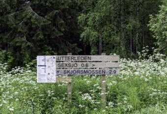 Hiking Trails in Pedersöre